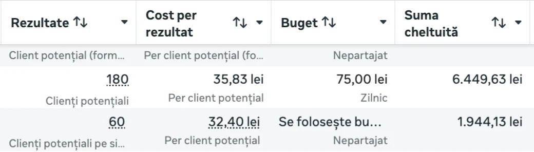 Cele două campanii din Meta Ads Manager, cu rezultate, cost pe rezultat și sumă cheltuită